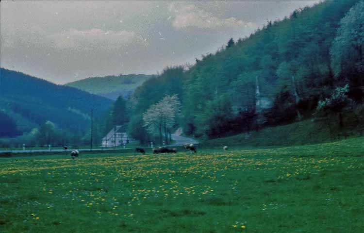 countryside
